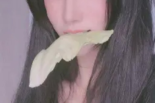 H官方版-H2026最新版v